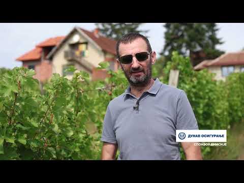 МАЛИ ШАРЕНИ ПОДРУМ У ШАРАНИМА МАЛИ ШАРЕНИ ПОДРУМ У ШАРАНИМА