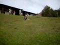videos de kkkkkkkkkkkkk