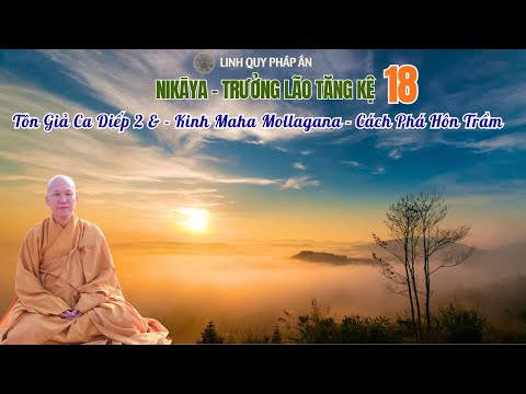 NIKAYA Trưởng Lão Tăng Kệ 18 - Tôn Giả Ca Diếp 2 & - Kinh Maha Mollagana - Ngủ Gục
