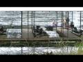 The World Famous White River - YouTube