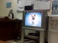 nintendo wii at work الهندي يلعب