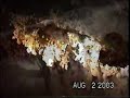 Spelunking in Whiterocks Cave