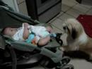 Cadu e Belinha