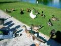 feeding time
