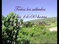 COMUNIDADES Y PUEBLOS DE QUERÉTARO, CHARAPE DE LOS PELONES