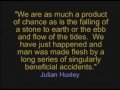 What Was the Cause of the Beginning? What Was the Cause of the Beginning?