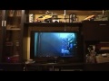 FPV in flatroom on