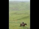 Horse Trek on the West coast