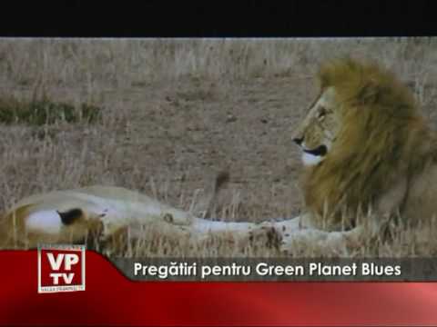 Pregătiri pentru Green Planet Blues