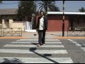 EL PASADOR Artemio Espinosa Mc (Chile)