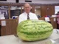 Worlds smallest and BIGGEST things