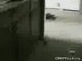 videos de Why Cry if nobody is waching?