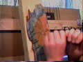 Carving A Mountain Man Part 1