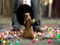videos de Raining Gumballs