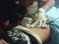 my tatOO ^^ part TWOO ^^
