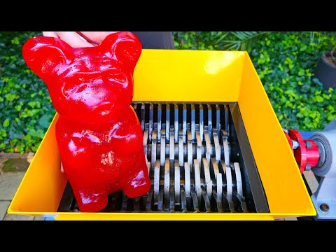 World's Largest GUMMY BEAR vs Fast Shredder! Amazing video!