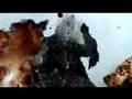 自主怪獣映画「G」 trailer2