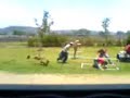 A Crazy Drunk Race  1