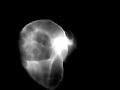 Smoky Head (Blender) Smoky Head (Blender)