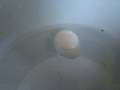 MOV01152.MPG