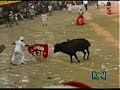 Cronica Pirry: Corraleja 3/3