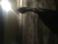 videos de CETME ( H&K G3 ) On New Years ( .308 )