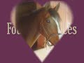 Fourteen Pieces (babygirl) 5yr old Thoroughbred