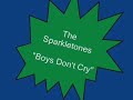 The Sparkletones.....Boys Don\ The Sparkletones.....Boys Don\