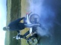 burn avec fox full malossi
