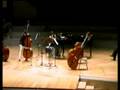 Tubin Double Bass Concerto I.Allegro Edicson Ruiz