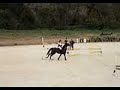 Equitaci�n cto. Espa�a 2007