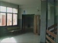 higienico1