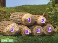 Sesame Street: How Much Wood Can a Woodchuck Chuck?