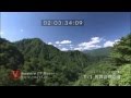 世界遺産 白神山地-Shirakami HD映像素材