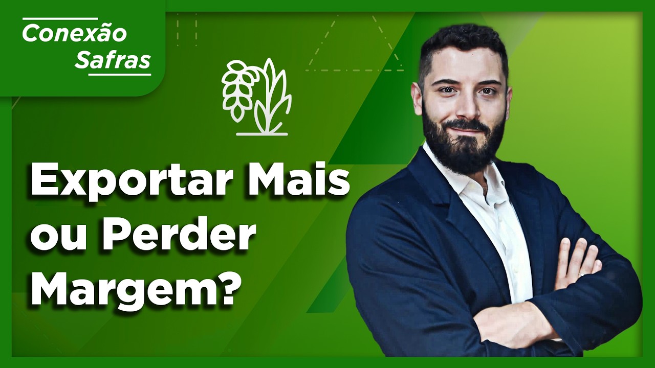 Crise de Rentabilidade no Arroz: O Que Está Mudando no Mercado - Conexão Safras