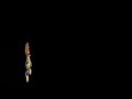eminem-sing-for-the-moment.html