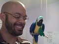 An Internet of Awesome #2