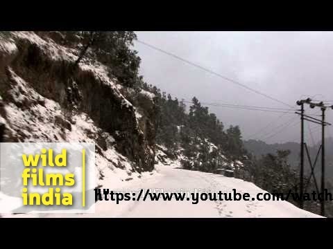 how to reach dhanaulti from delhi by train