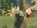 sesame street   with a little yelp from my friends