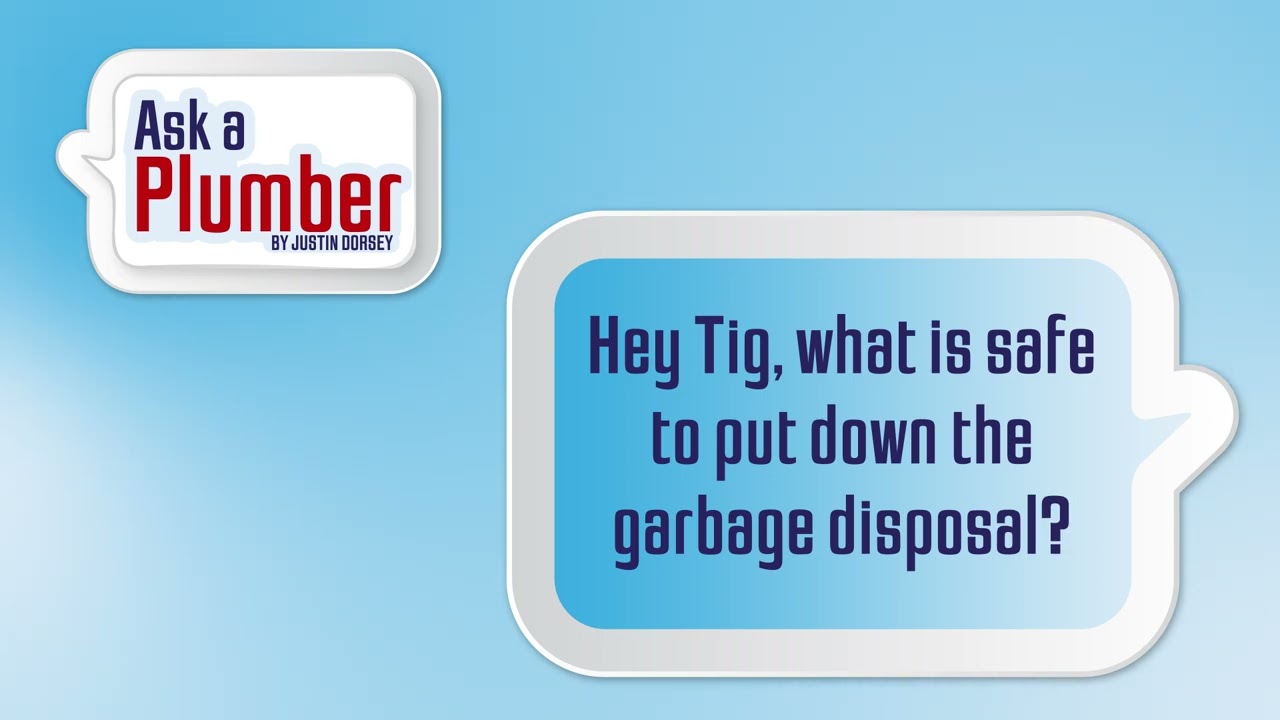 What is safe to put down the garbage disposal?