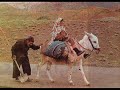 من بنده عاصیــــم رضـائـــی تـــو کجــاستتاریک دلم نـــــور و صفائـــی تـو کجاسـتبرمن بهشت ار بــطا عـــت بخشــــــــــــیاین مـــزد بود لطف و عطــــای تو کجاسـتنیکی و بـــدی کــه نهـــــــاد بشــــــراستشادی و غمــــــی که در قضا و قدر استبا چــــرخ مکــن احواله کانـــدر ره عقــلچـــرخ از تـــو هزار بار بیچـاره تراسـتزنهـــار زجـــام مـــی مرا قوت کنیــــــدوین چهـــره کهــربا چــــو یاقوت کنیــــدچـــون مرده شوم ببــــاده شویـــد مـــــراوز چـــوب رزم تخـتـه تابـوت کنید مــراهــــر جاه که گلـــی و لاله زار بــودستآن لاله زخـــــون شهر یــــار بــــودسـتهــــر برگ بنفشه کــــز زمین میـــرویــدخالیست کـــه بر روی نگـــاری بــودست