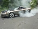Wade Meadows Burnout