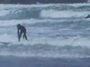 videos Surf