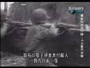 TOP 10:Combat Rifles -  M1 Garand(NO.4)