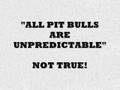 ANOTHER PIT BULL ATTACK!