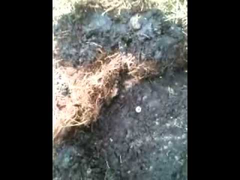 LawnCareMidwest - Homeowner called me out in early September saying