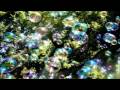 GM! - Forever is Tonight