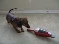 The Dachshund and the Evil Sucking Machine