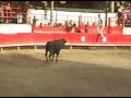 course de taureaux neuf (partie 7 )