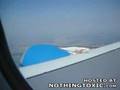 bird-strike